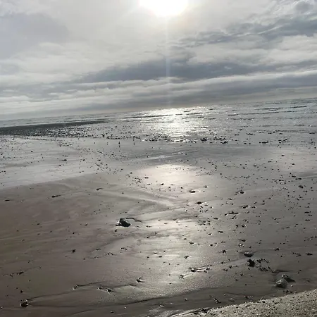 Holiday home Maison 10/12 Pers A 5 Min Du Phare Des Baleines